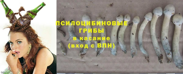 спиды Семилуки