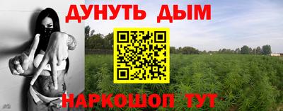 МДПВ Краснознаменск